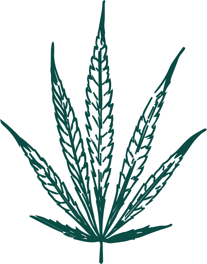 cannabis leaf 05