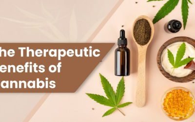 Unveiling the Benefits of Cannabis: A Comprehensive Guide